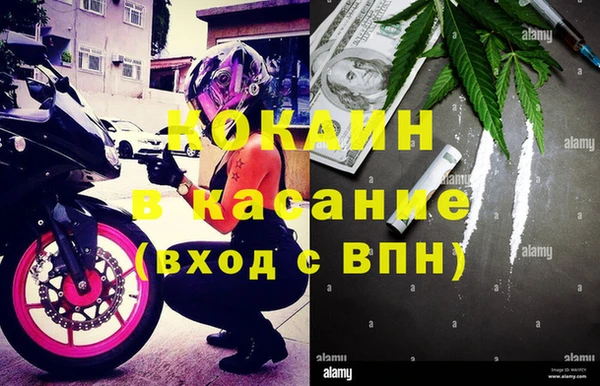 каннабис Богданович