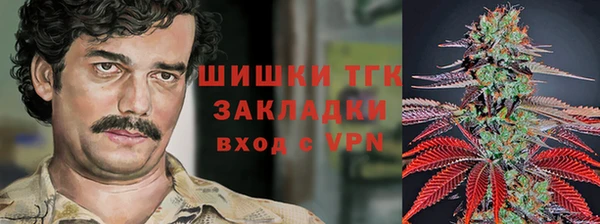 эйфоретик Белокуриха